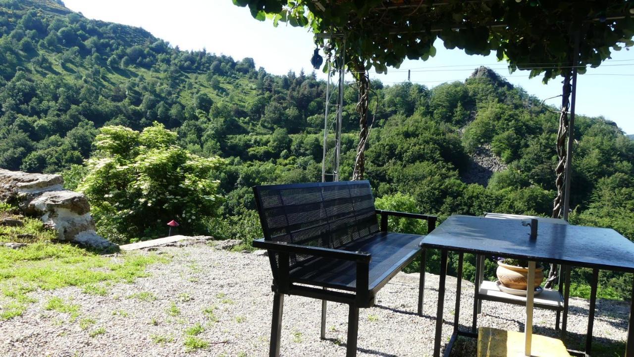 Gîte de NOE au Ray-pic Pereyres Eksteriør bilde